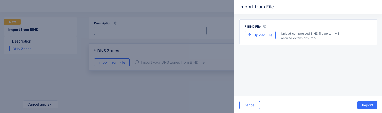 Figure: Import from BIND file